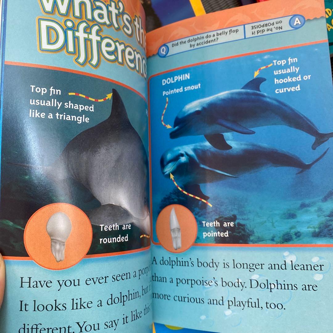 National Geographic Kids レベル1,2,3