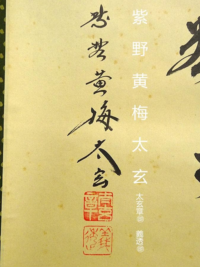 掛軸 大徳寺黄梅院小林太玄『横書き 書』紙本 共箱付 掛け軸 a01052