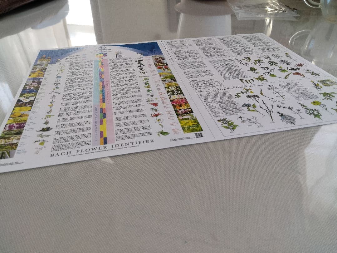 たろう様1760+1660×8=15040ヒーリングハーブス社フラワーエッセンス