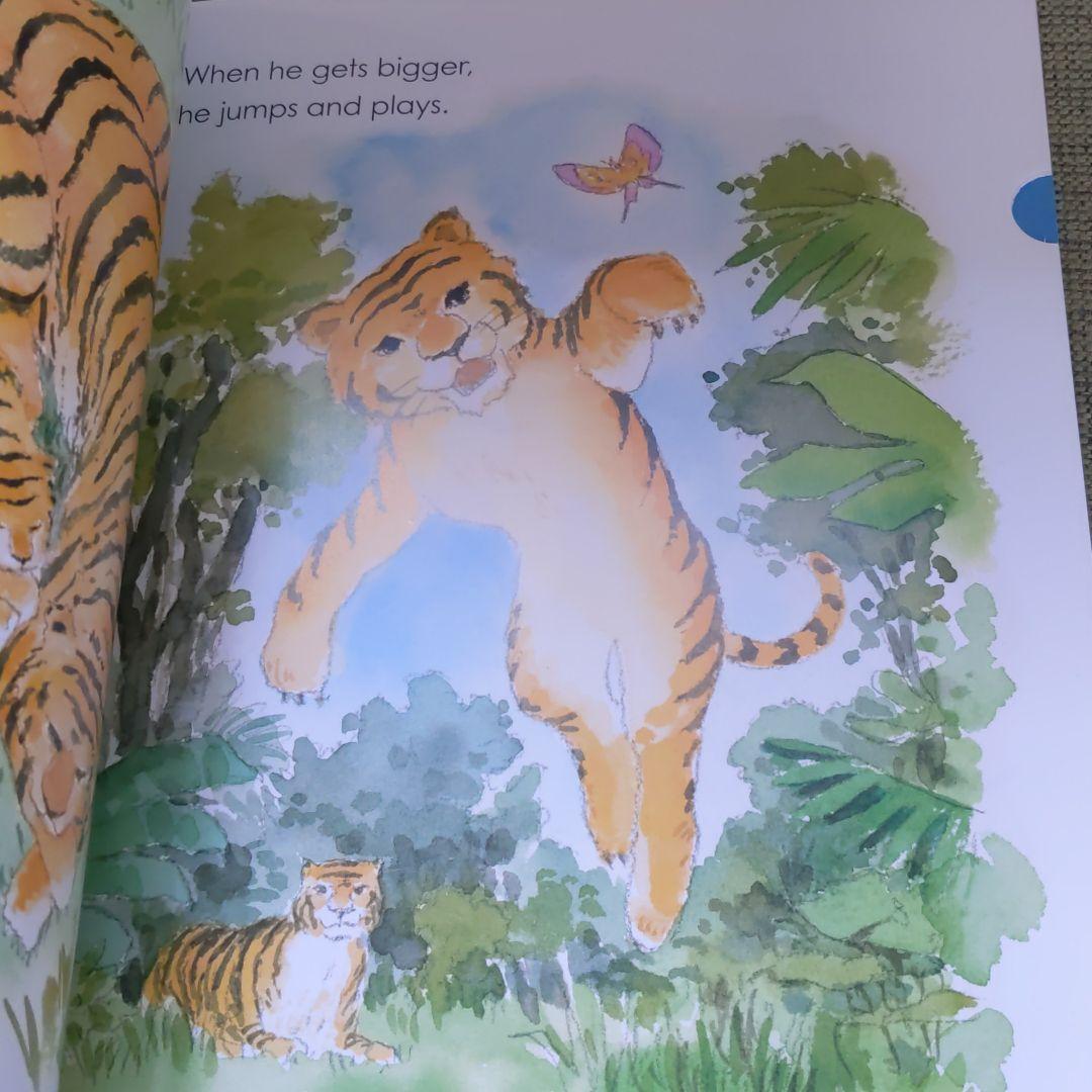 キッズ・ファミリー grape SEED Unit 11