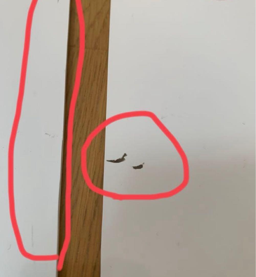 ボビーワゴン（3段5トレイ、ホワイト）