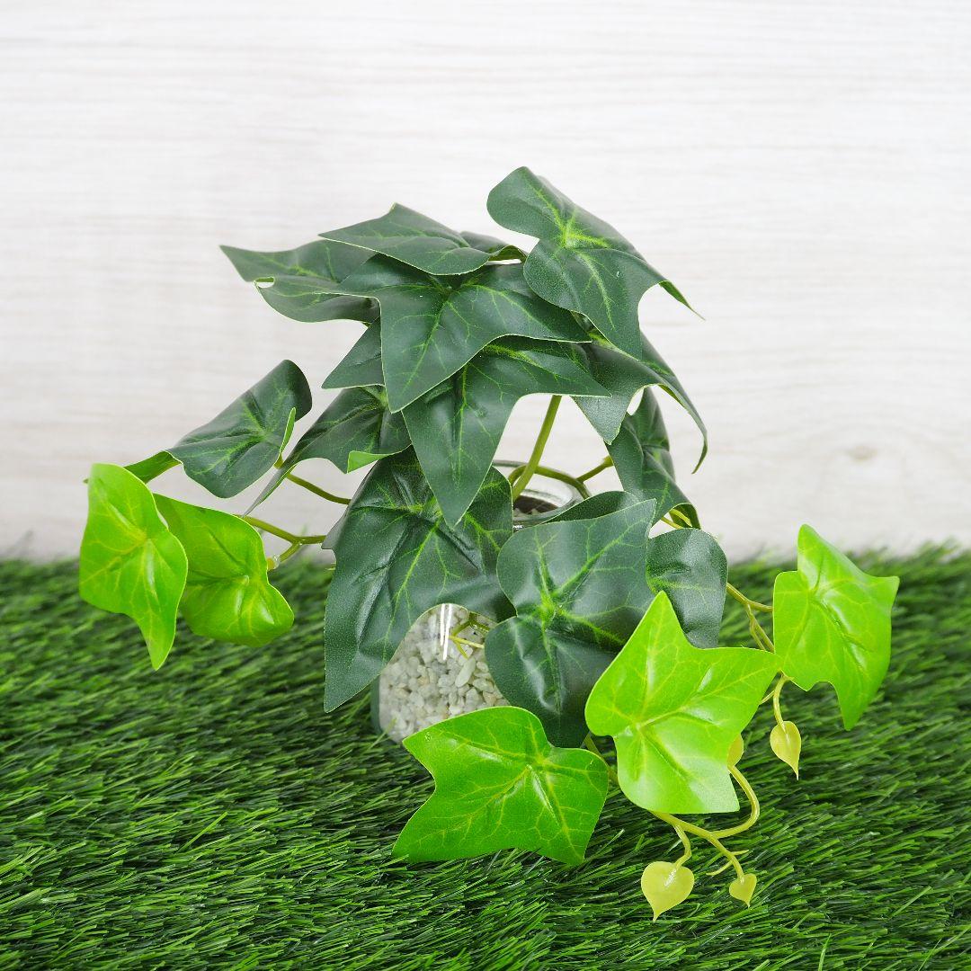 ⭐️動作確認済で訳あり⭐️LUMIX G VARIO 35-100mm