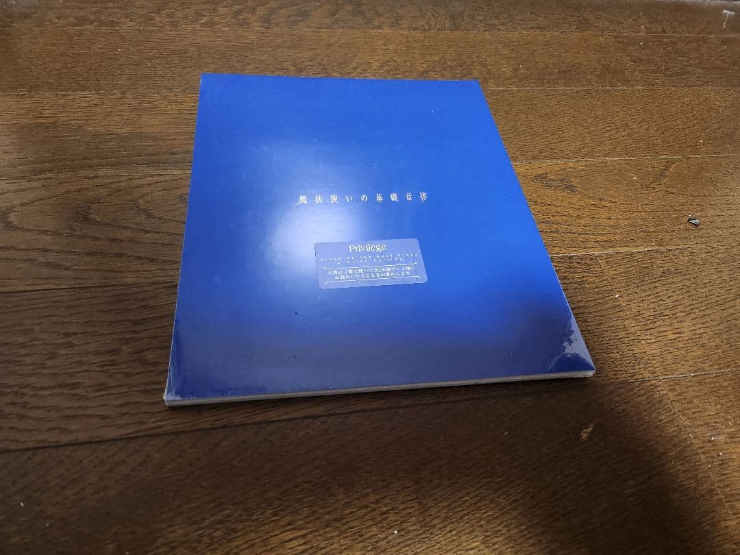 Nintendo Switch 月姫 魔法使いの夜限定版セット