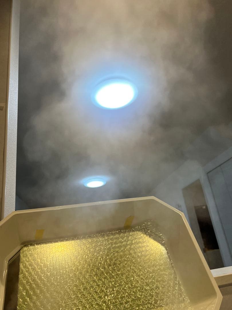 【美品】サキナ ルルシェ 美顔器 サキナエステマシン