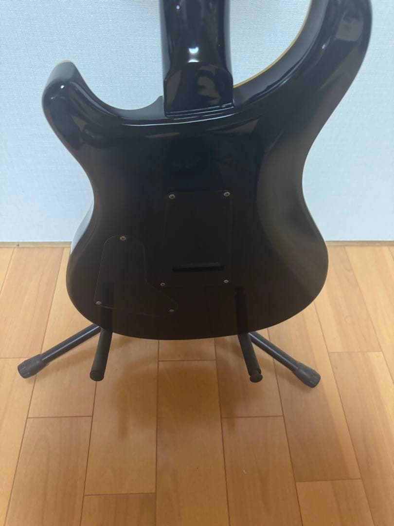 ギター Paul Reed Smith SE Custom