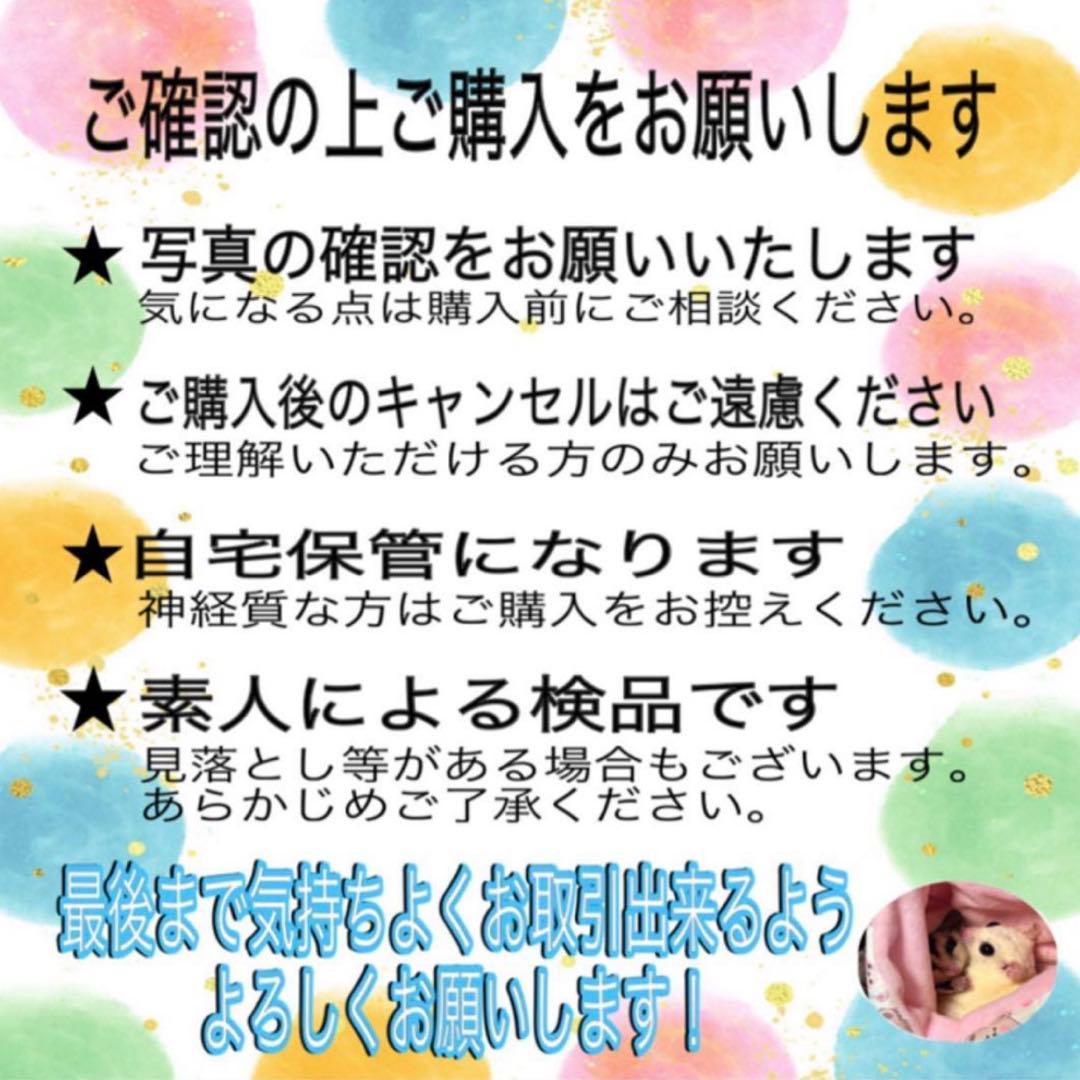 希少 レア アリエル LEDライト 貝殻型 約15cm