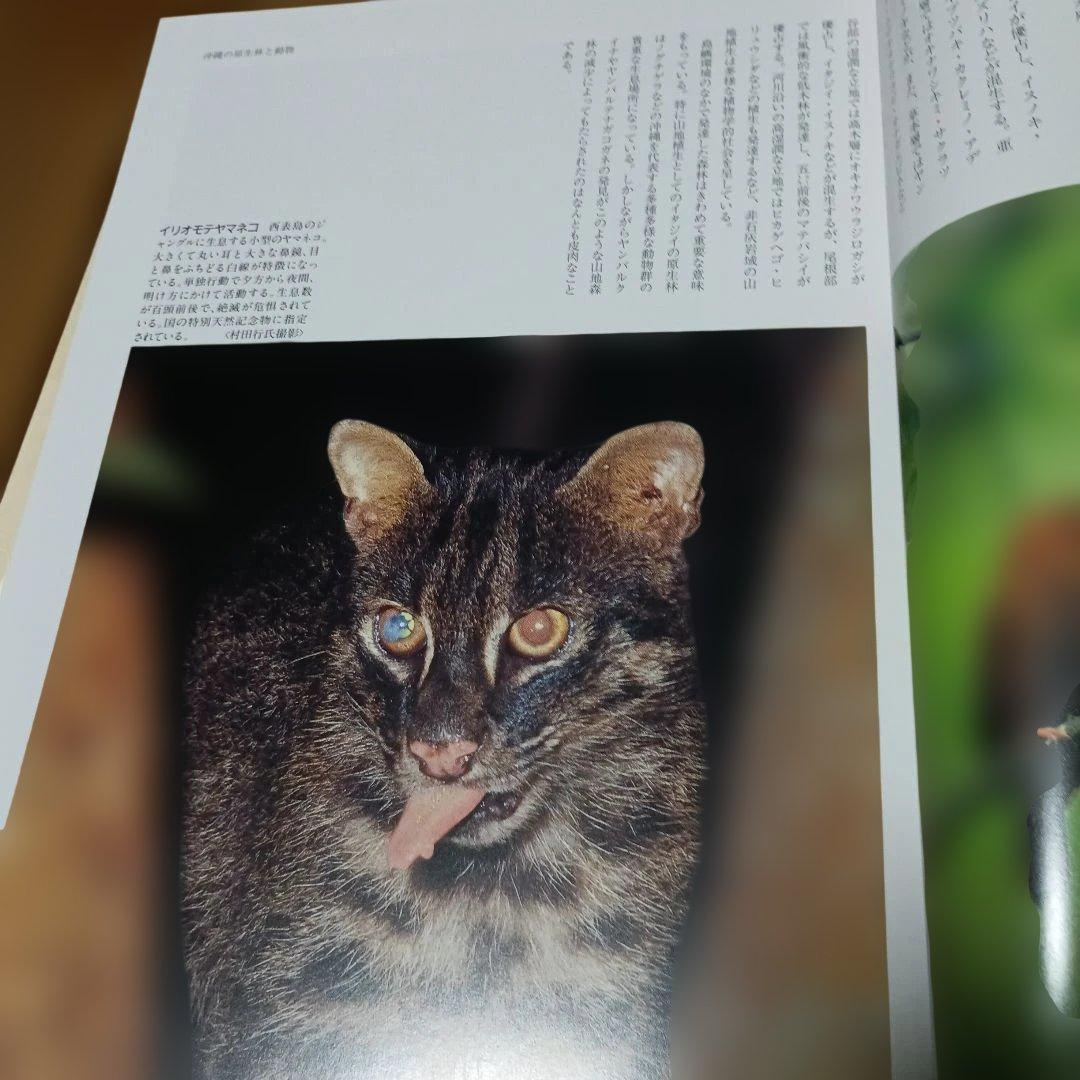 沖縄県風土記 限定版