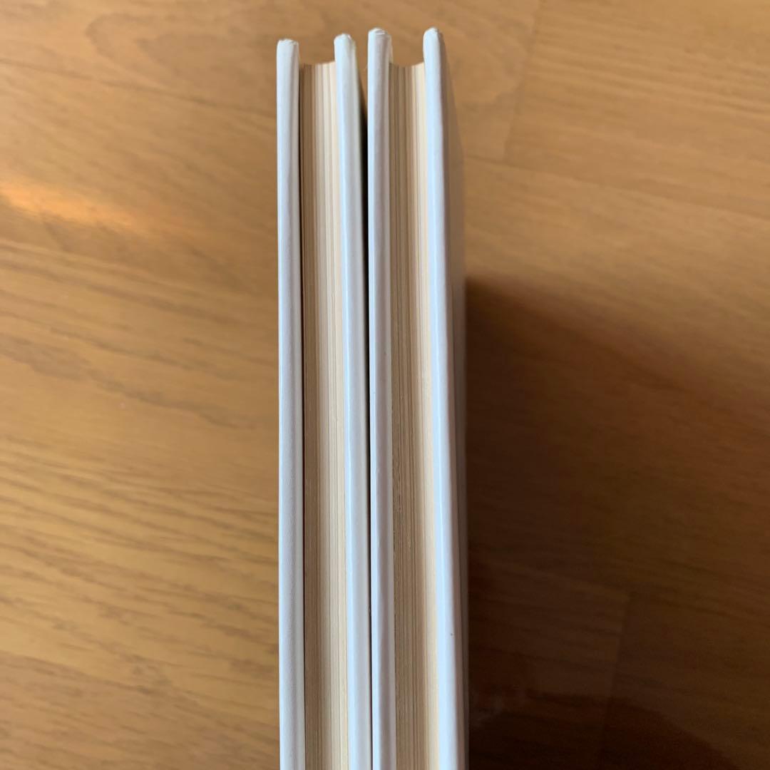 【希少・美品】VIVA! MICKEY BOOKS　2冊セット（手芸・ニット）