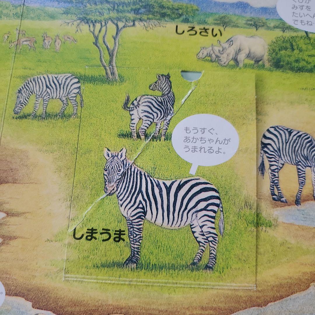 0歳～ 絵本セット 41冊！ sassy もいもい ノンタン もうぬげない 等