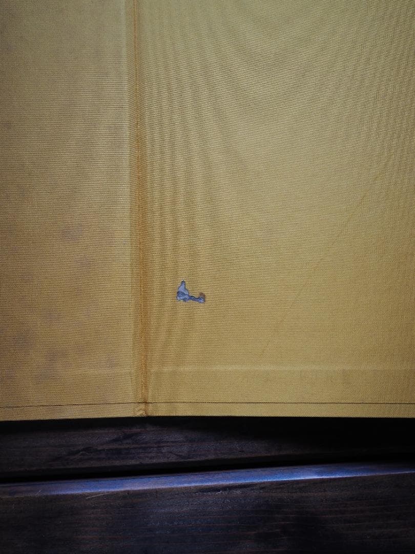 仏陀巡礼: 並河万里写真集 大型本 並河万里 (著)