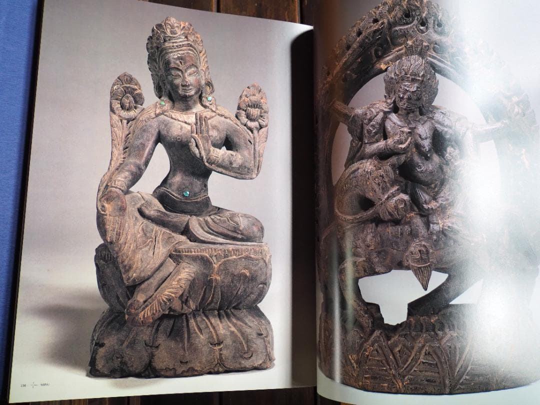 仏陀巡礼: 並河万里写真集 大型本 並河万里 (著)