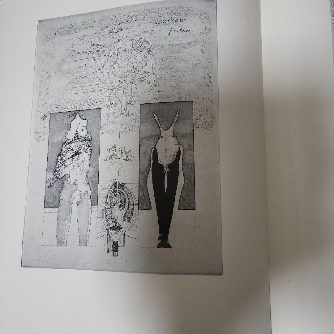 多賀 新 全作品集 SPRING DREAMER 1971〜1983　古本