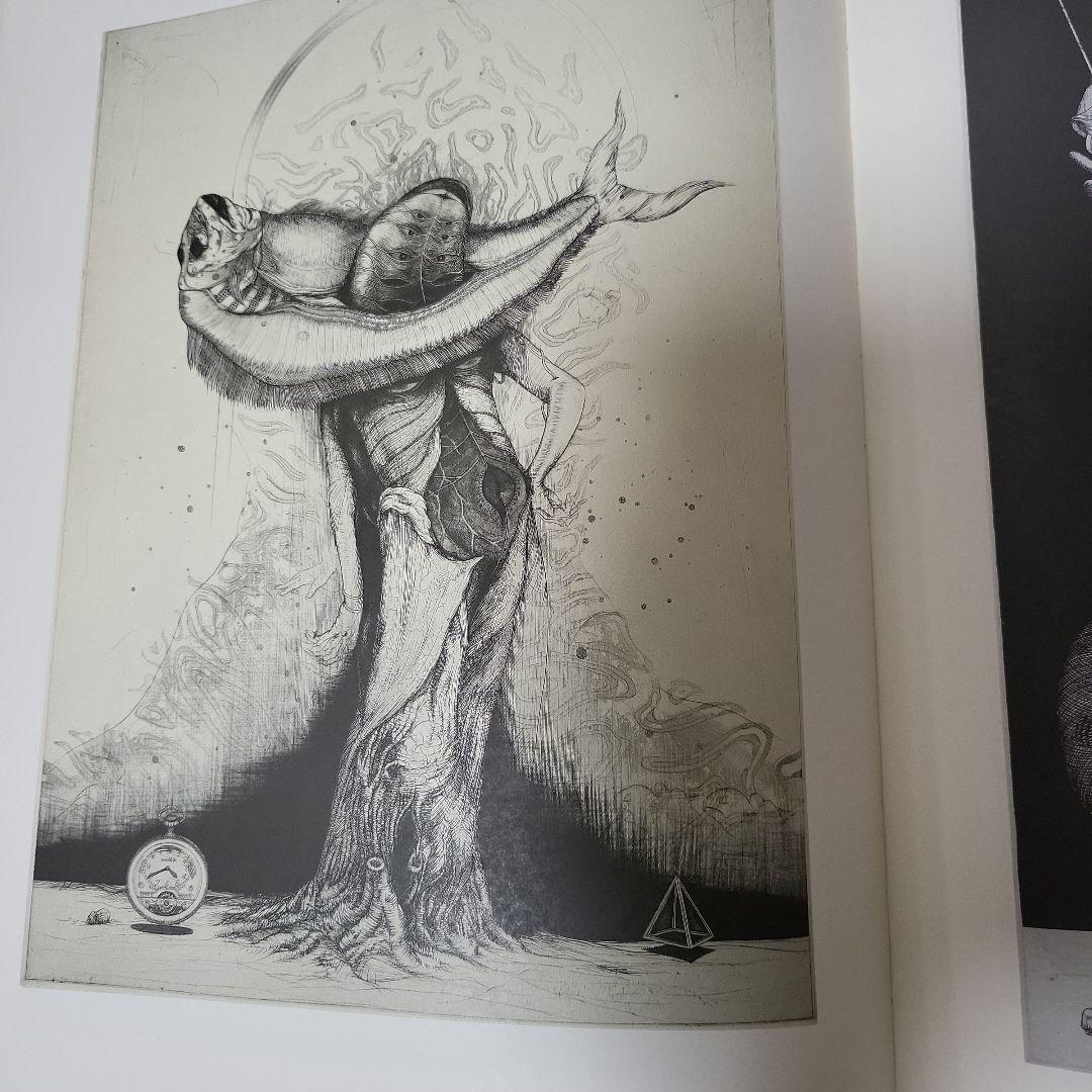 多賀 新 全作品集 SPRING DREAMER 1971〜1983　古本