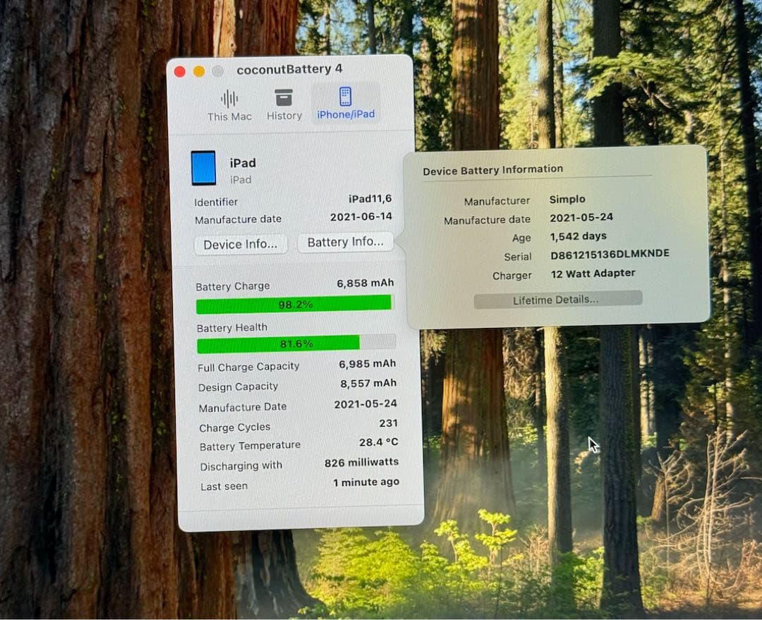 iPad 第8世代 32GB シルバー Wi-Fi バッテリー81%