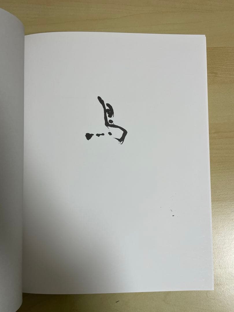 アート・デザイン・音楽 Masao Yamamoto Tori signed