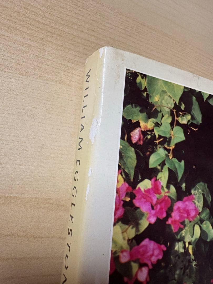 アート・デザイン・音楽 William Eggleston The Democratic Forest