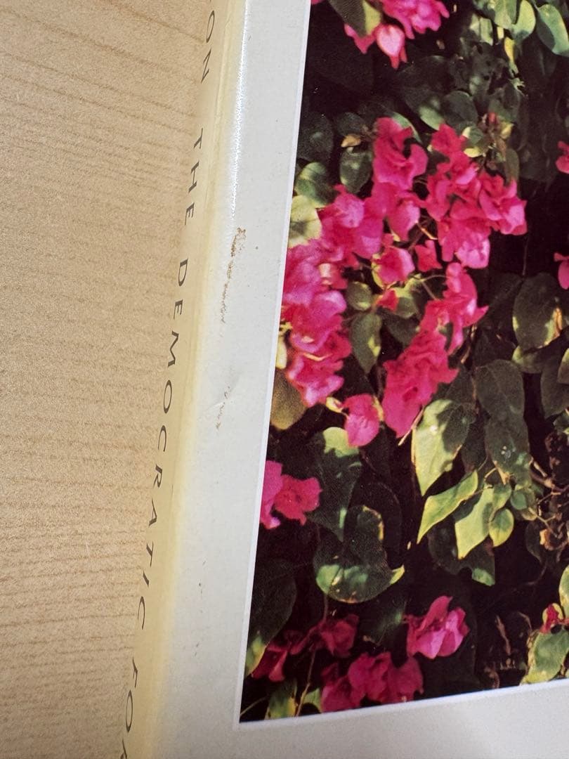 アート・デザイン・音楽 William Eggleston The Democratic Forest