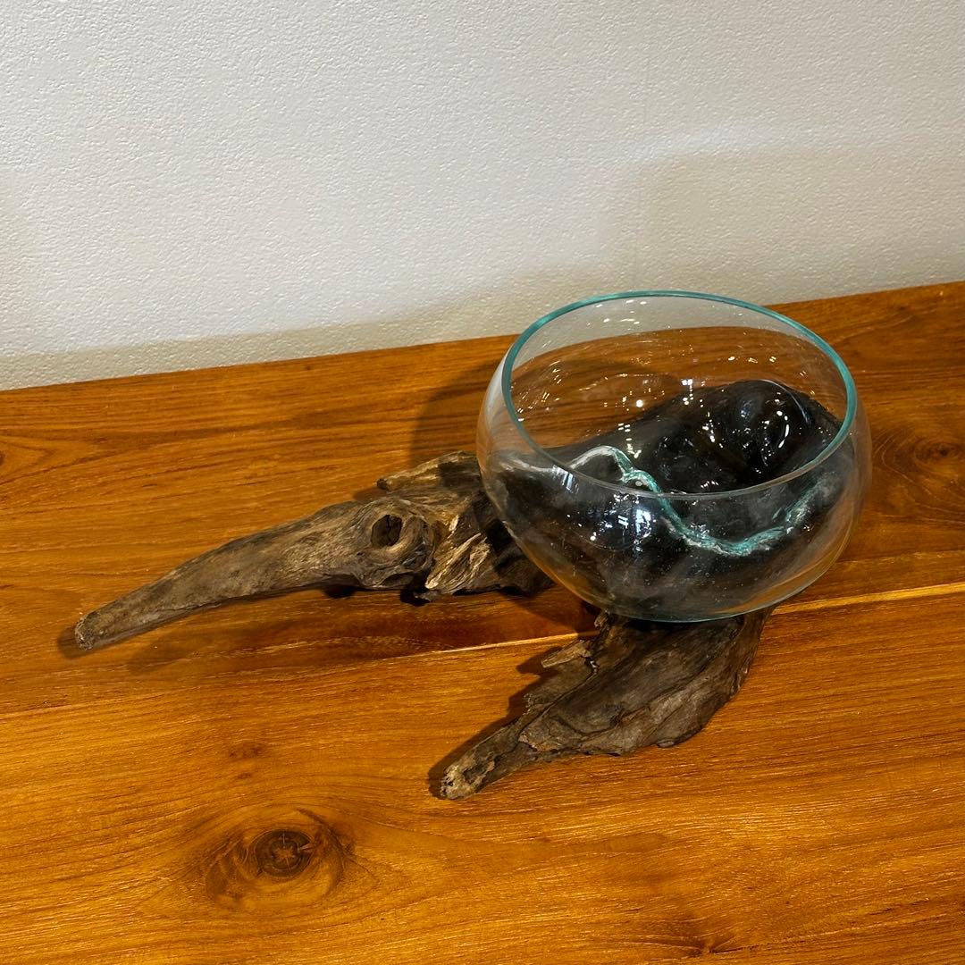 バリ島流木ガラス　w32×d17×h10cm 水槽　アクアリウムメダカ水槽809