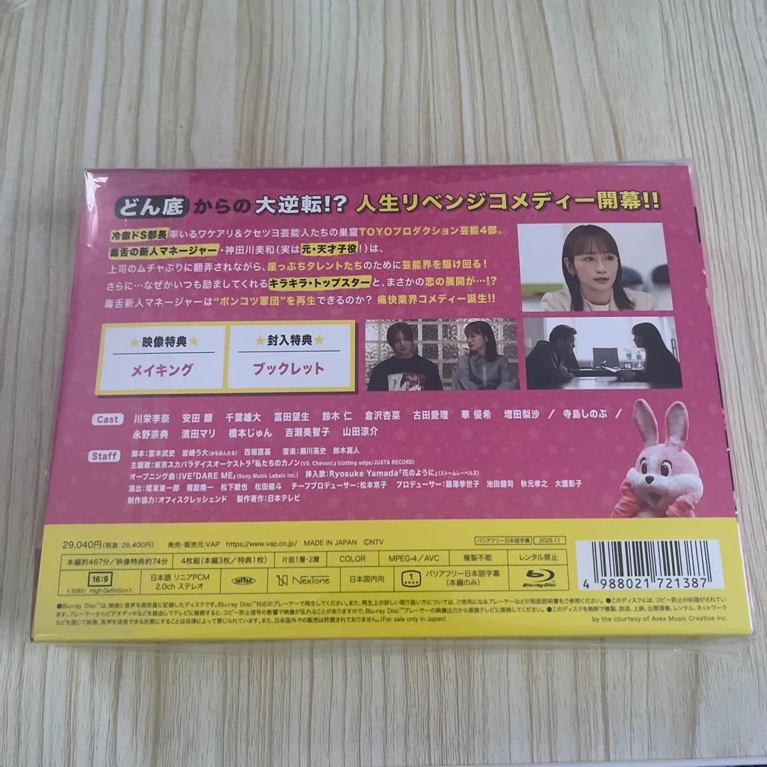 ダメマネ Blu-ray ブルーレイ 川栄李奈 山田涼介 安田顕