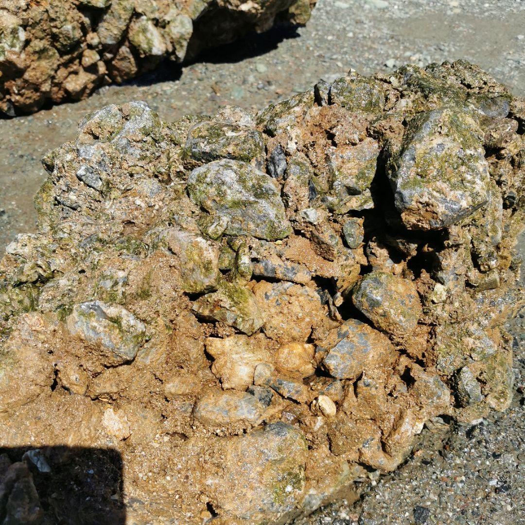 岐阜県　揖斐川産　さざれ石　64キロ　庭石　鑑賞石　石　庭　坪庭　ガーデニング