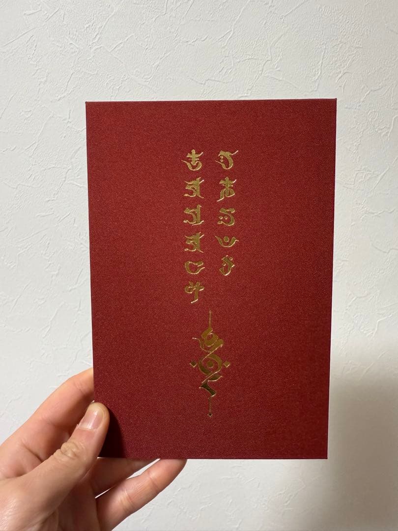 キタニタツヤ　DEMAGOG visualbook