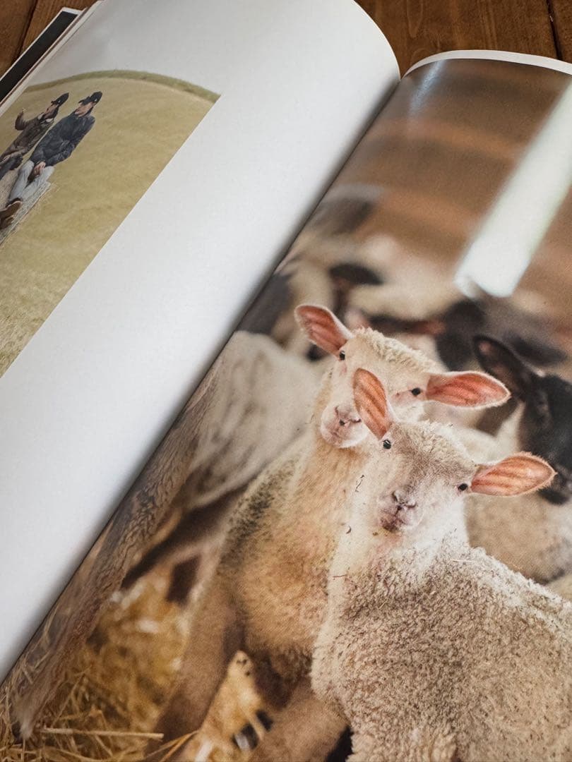 料理本　HUMAINS GUILLAUME SANCHEZ