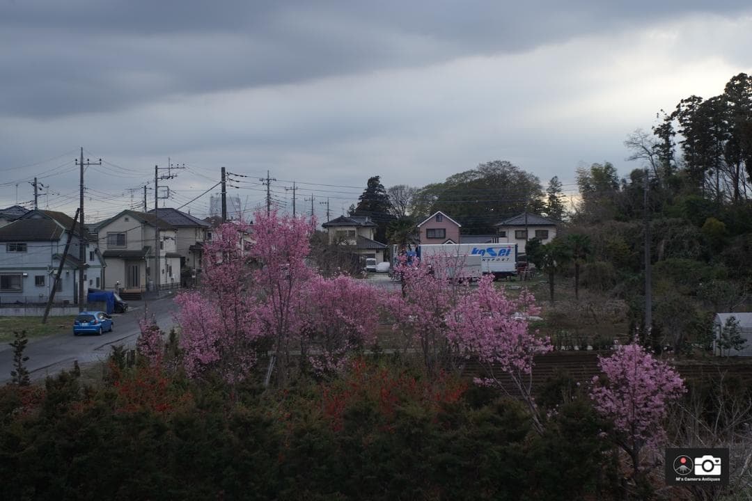 Leica Elmar 赤エルマー 5cm F3.5 L39 119万台