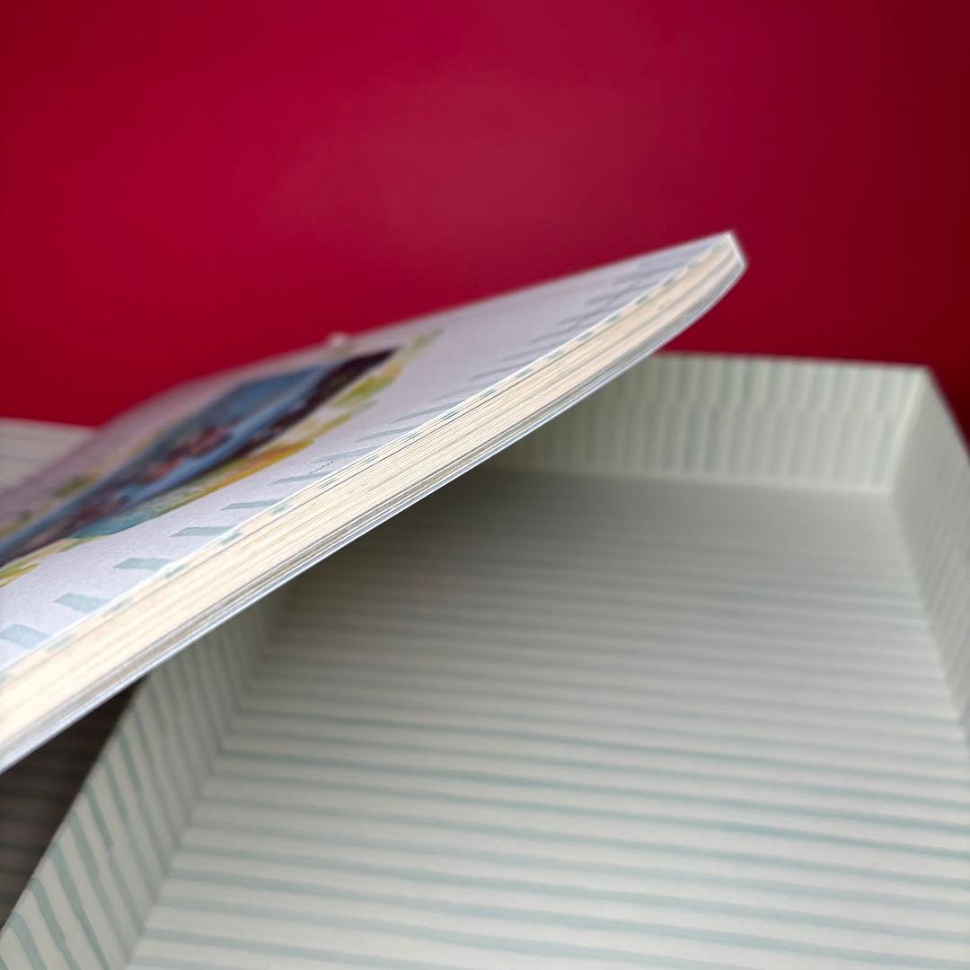 BTS 2015 SUMMER PACKAGE サマパケ DVD テテ V