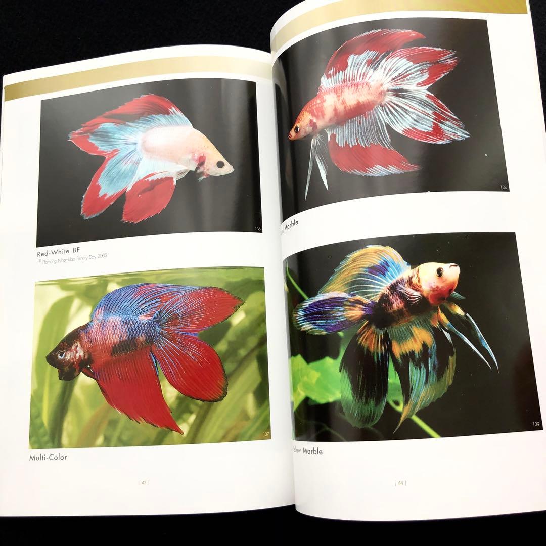 淡水熱帯魚 ベタ 写真集「AMAZING THAI BETTA」ショーベタ