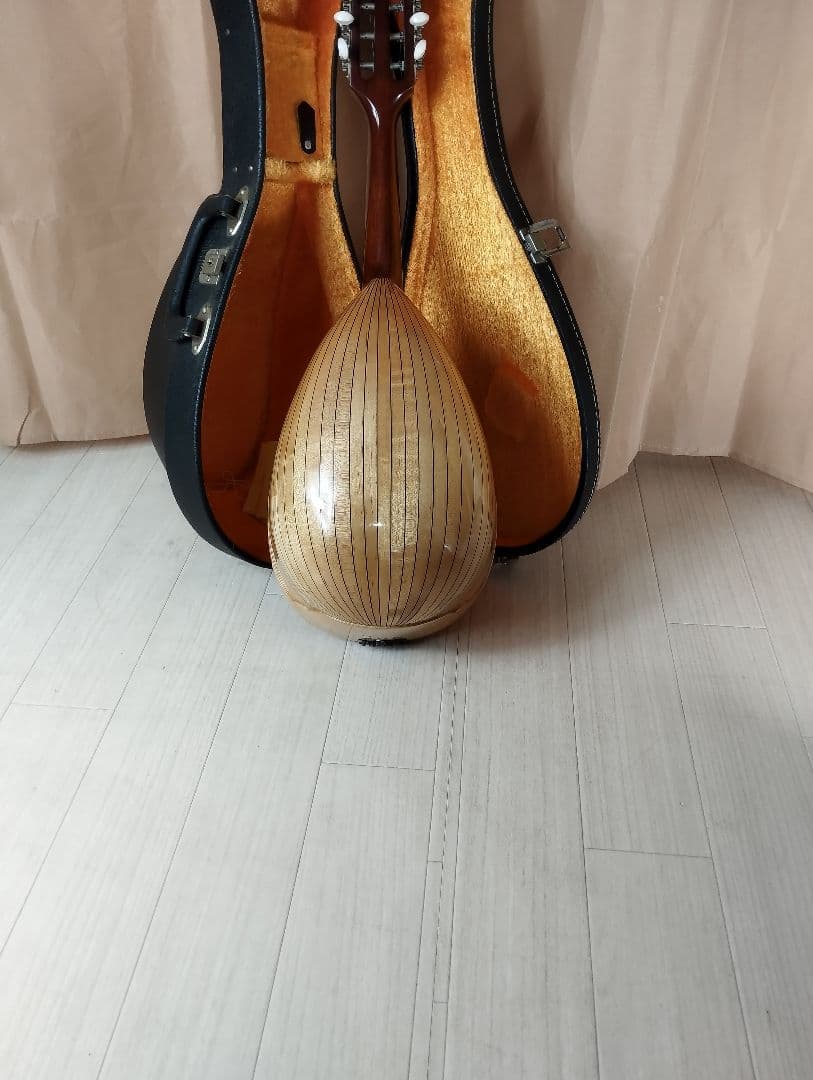 【美品】SUZUKI M-30マンドリン 8弦 ハードケース付き
