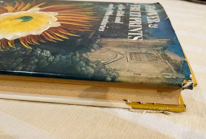 【大型本】FLOWER＆FRUIT PRINTS　ボタニカル