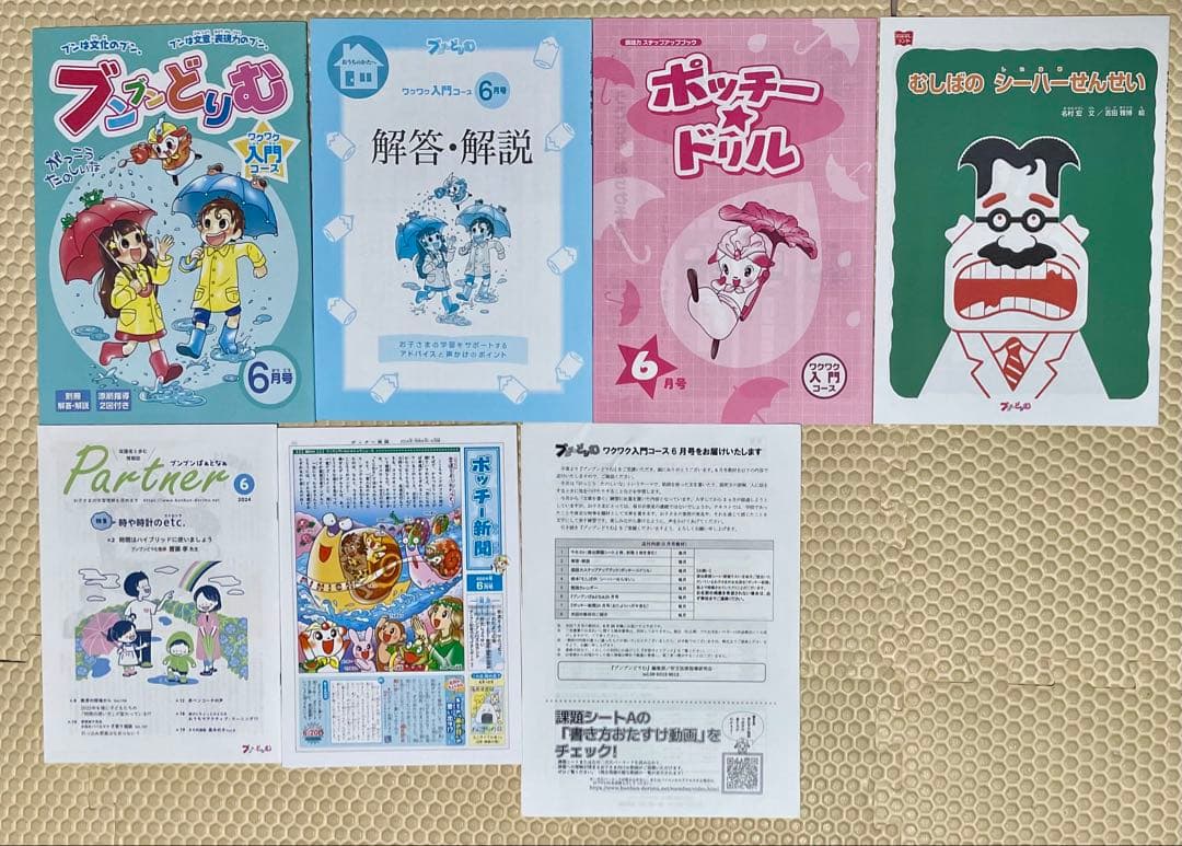 2024年度版 ブンブンどりむ 1年生 ワクワク入門コース1年分