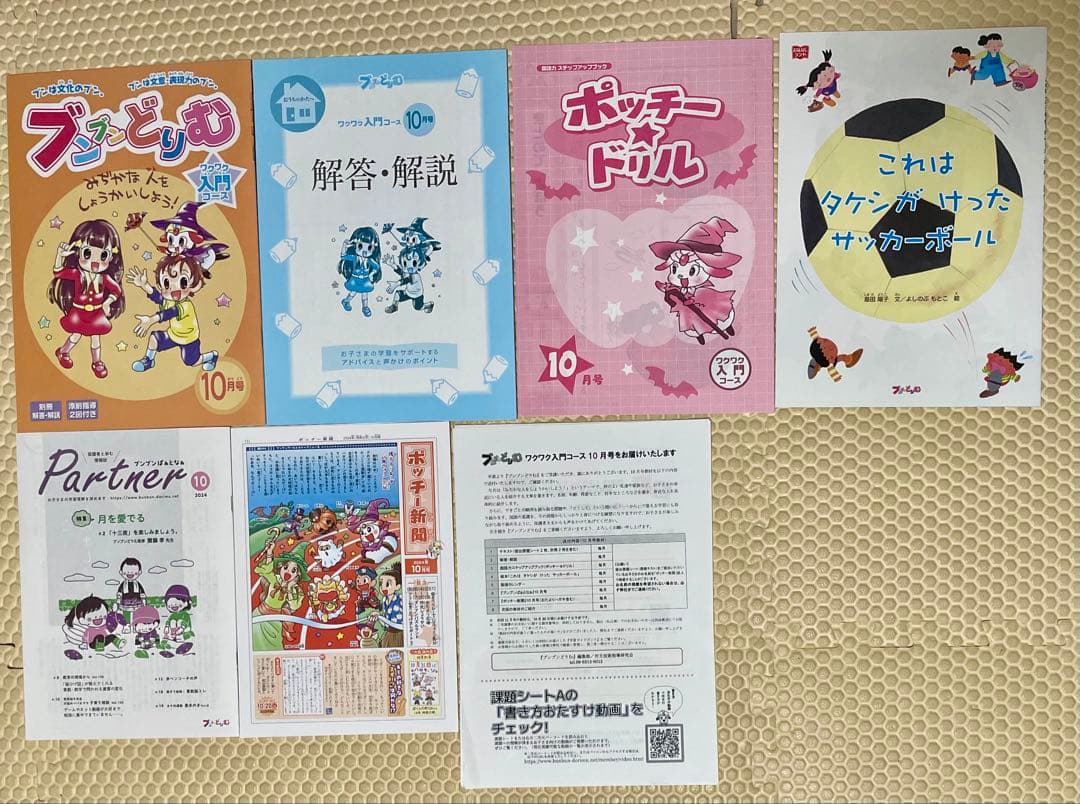 2024年度版 ブンブンどりむ 1年生 ワクワク入門コース1年分