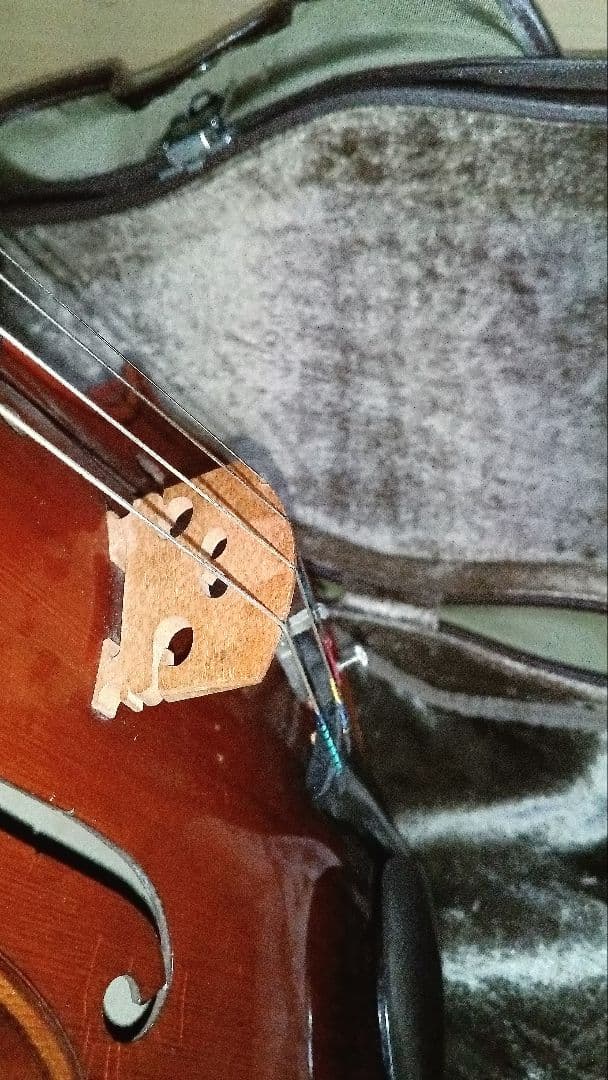 SUZUKI ビオラ No. 2 15.5サイズ 2010年製