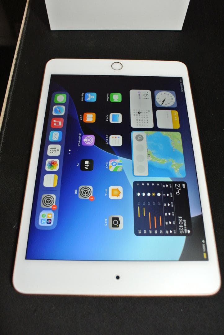 iPad mini 第5世代 Wi-Fi 64GB GOLD 超美品 動作品