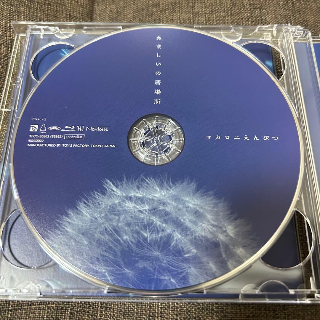 マカロニえんぴつ　アルバム　CD まとめ売り　クリアファイル付き