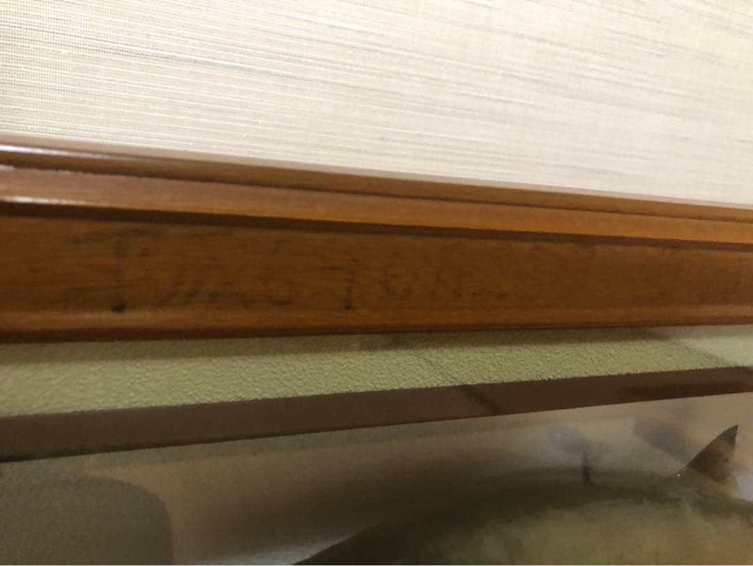 サクラマス 標本　剥製　フレーム入り