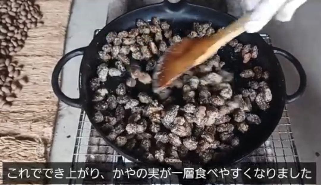 樹齢600年 榧の実（かやの実） 2025年産 1kg アク抜き済み