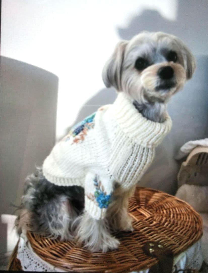 ご覧の皆様へ　採寸について少し…