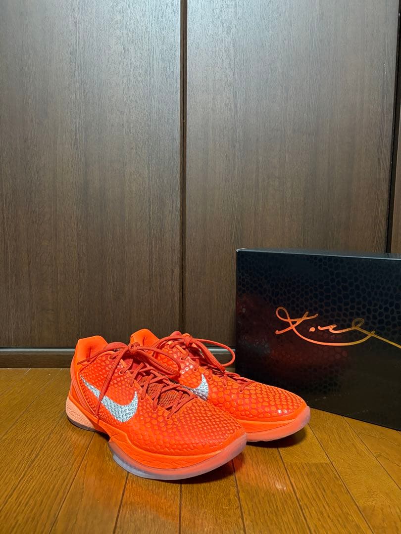 ナイキコービー6プロトロ