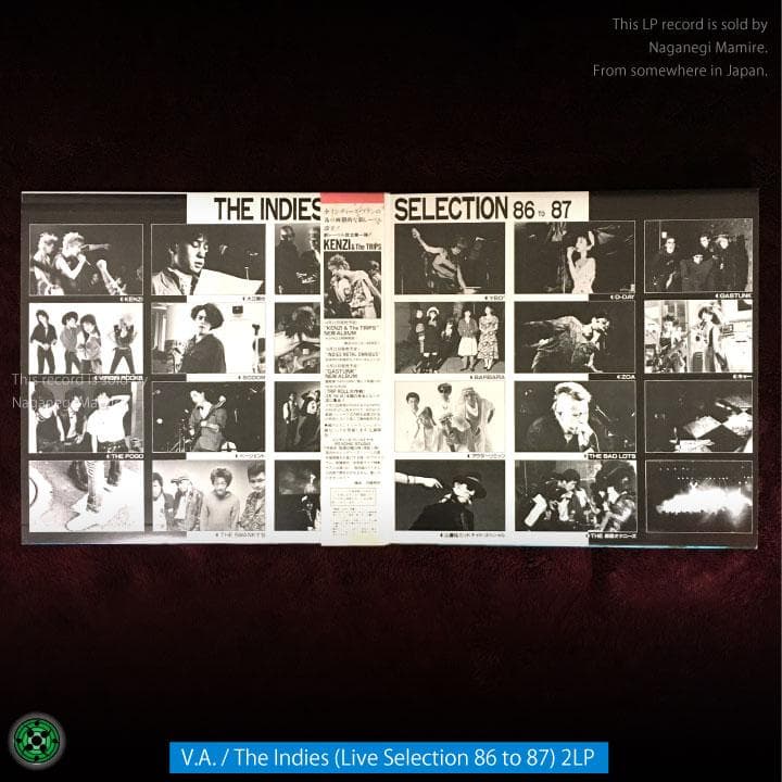 LP 邦楽ロック名盤8枚セット LIZARD EX アナーキー ちわきまゆみ