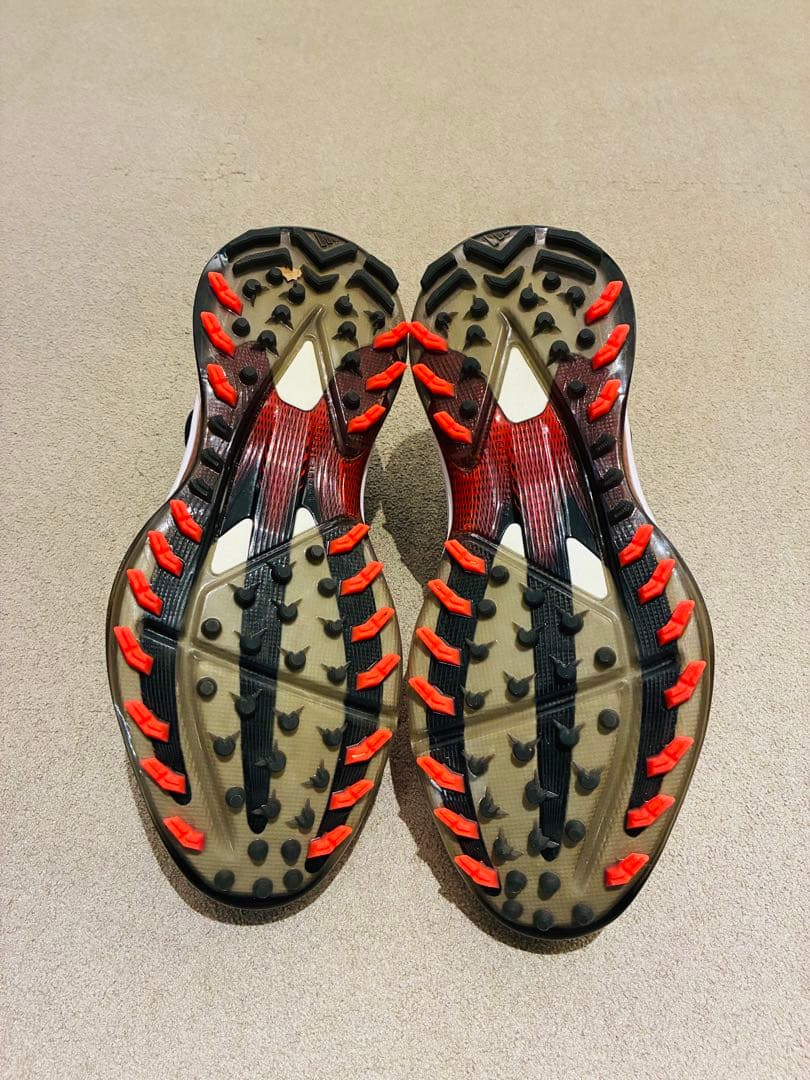 新品 アディダス ゴルフ W アディゼロ ZG25 BOA 26.0cm