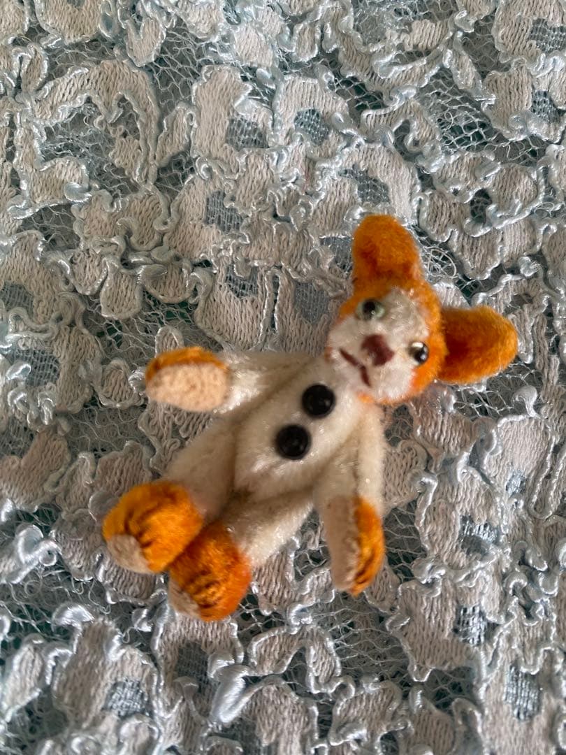 個性的 テディベア 作家さん