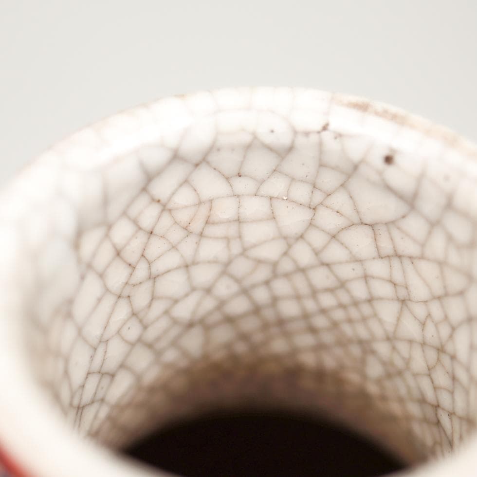 安南 五彩魚藻紋 大瓶 38cm