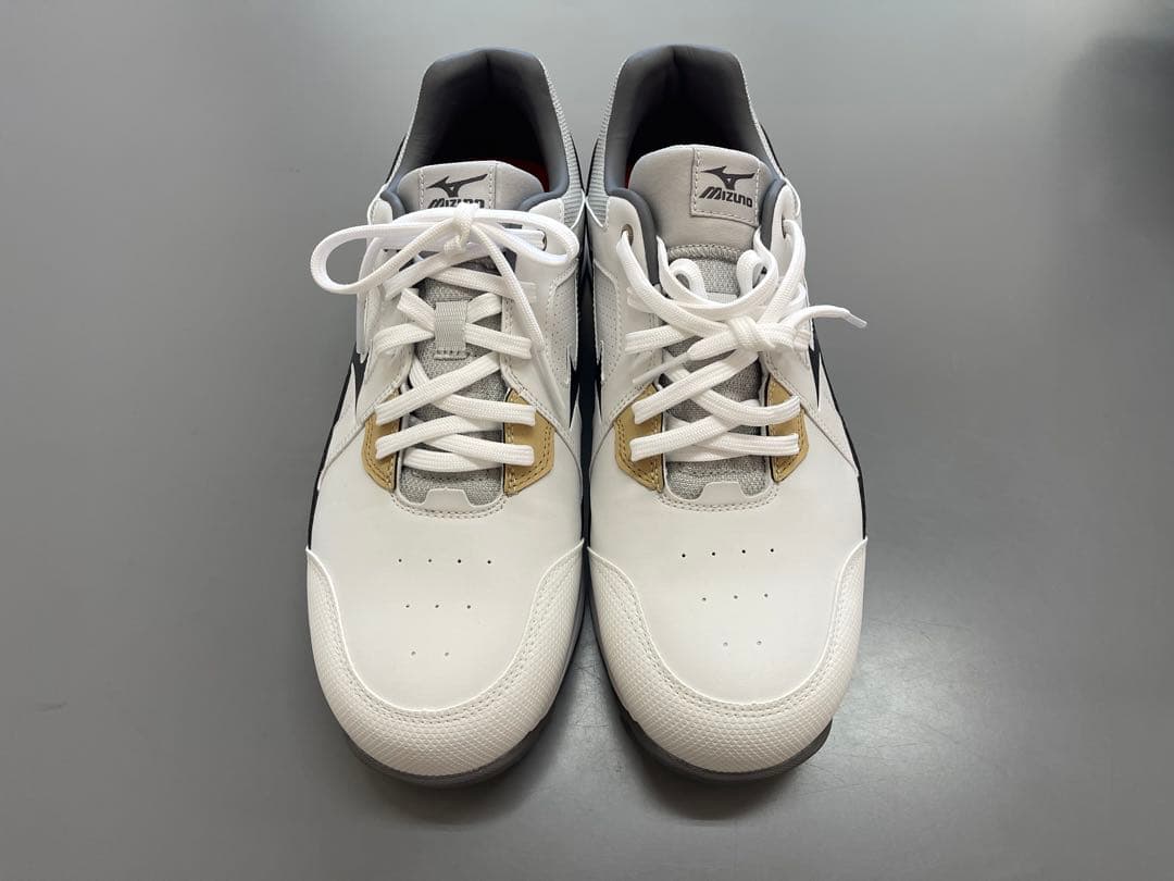 h*l様 Mizuno オールマイティHW 11L 28.0cm 安全靴