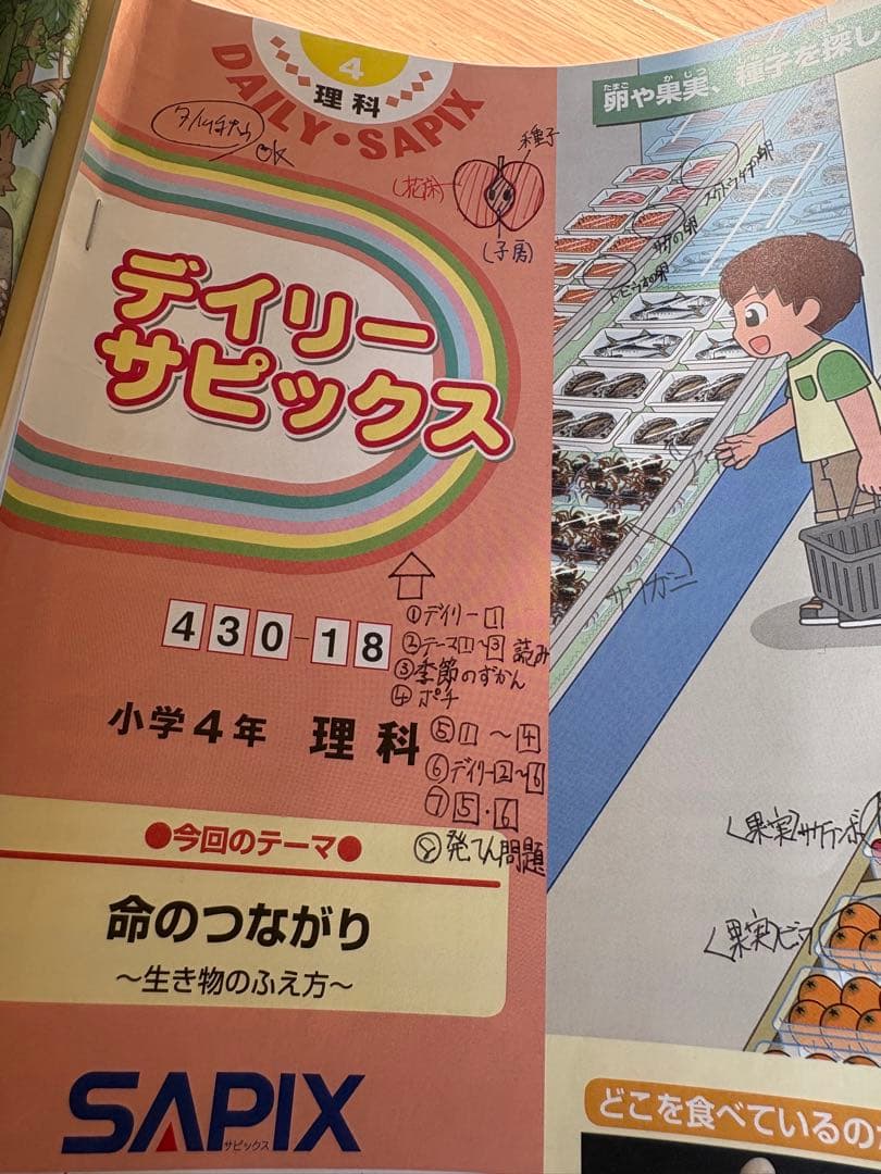 2020年度 サピックス小学4年 理科セット　中学受験