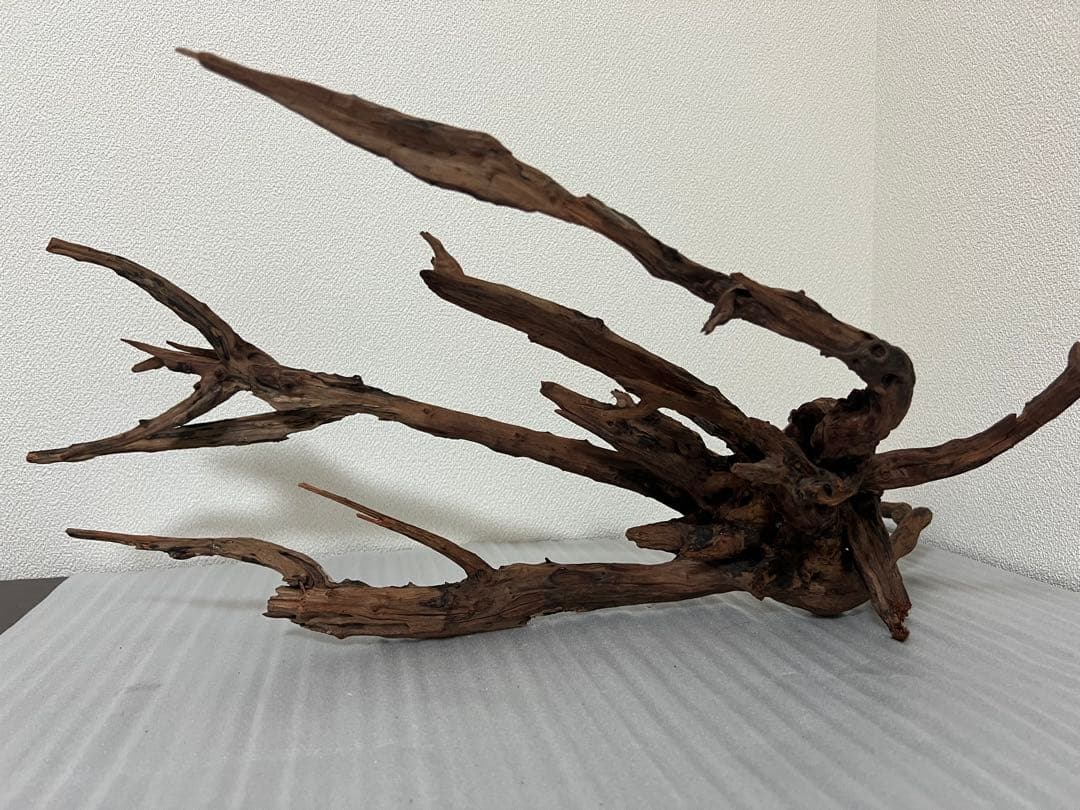 HX-083 流木　ホーンウッド　マシンガンウッド　アクアリウム　ブランチウッド