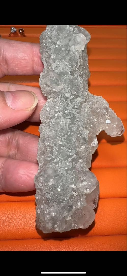 マスタークリスタル 珍品 カクタス アポフィライト カルセドニー  共生 原石