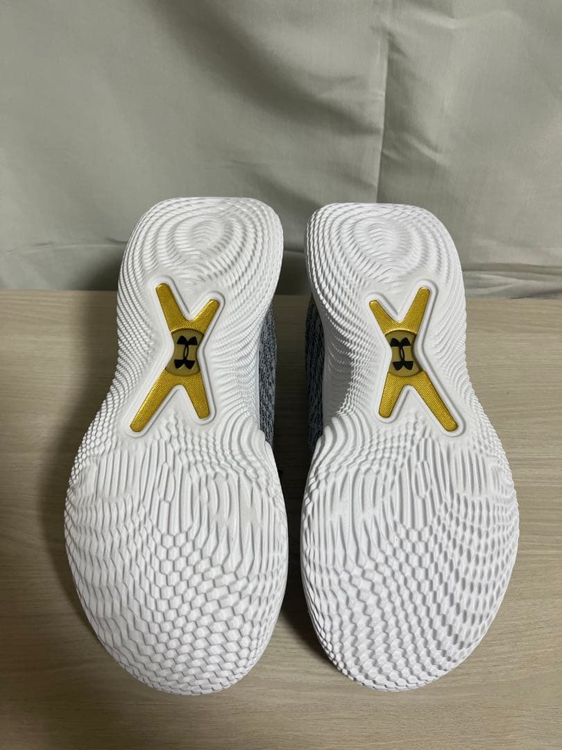 【美品/試着のみ】アンダーアーマー カリー10 Young Wolf 27.5