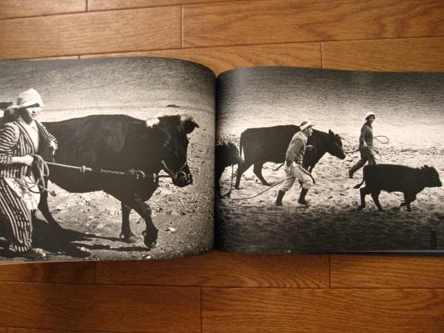 海と太陽の間　佐田岬半島の人々・風土　 新田好